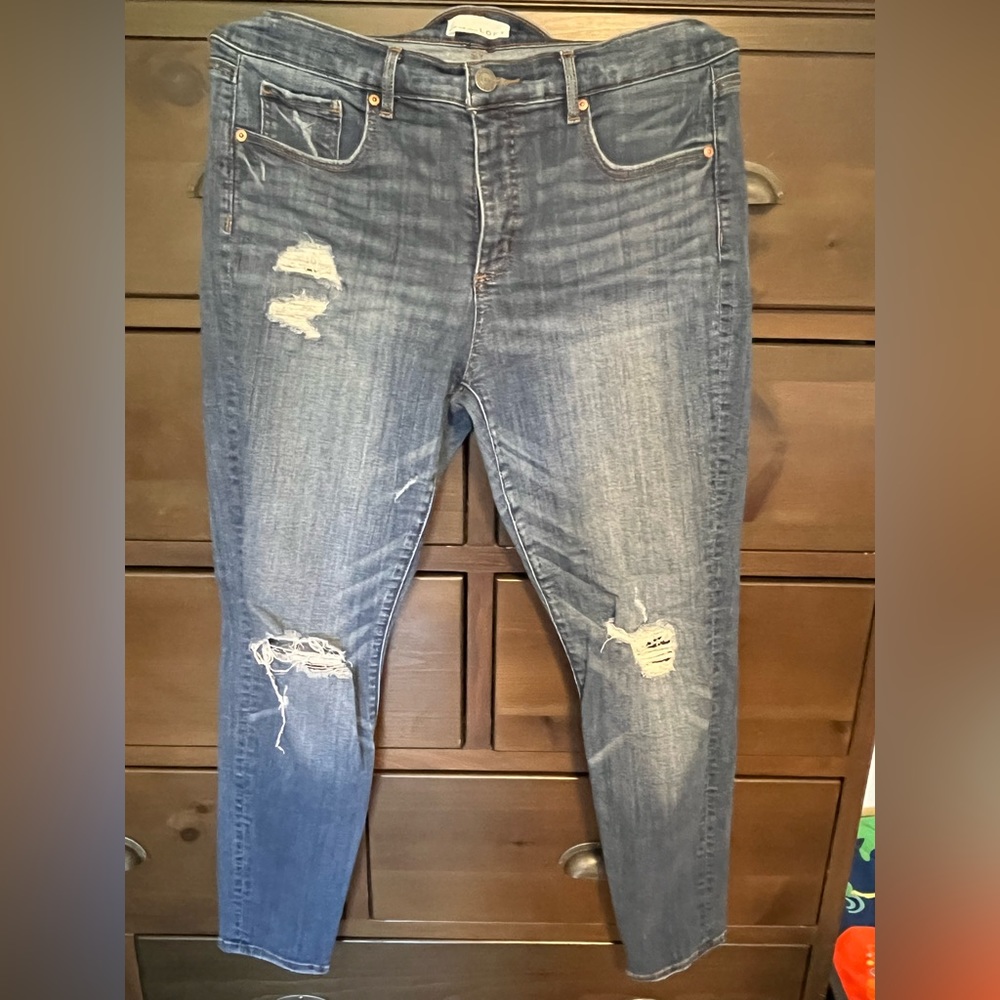 LOFT JEANS / Modern Skinny